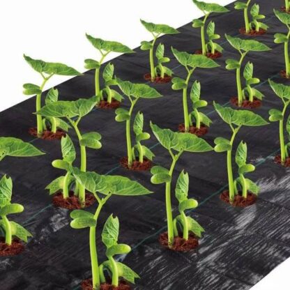 Agfabric Landscape Easy-Plant 3x12ft Weed Block for Raised Bed Outdoor Garden